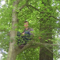 Sitspot im Baum