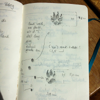 fuchsspur_fieldnotes__boberg_200