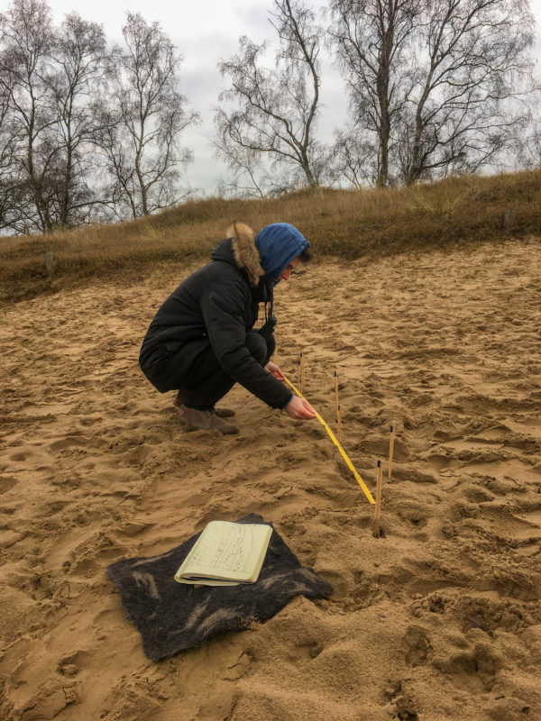 Spuren lesen: Gangarten und Bewegungs- muster erkennen13-04-2019 Boberger Sanddüne